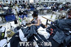 EU đóng cửa biên giới ảnh hưởng tới lưu thông hàng hóa ra sao?