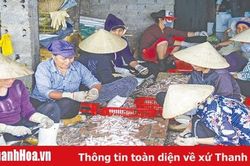 Phát triển chế biến thủy hải sản gắn với thị trường tiêu thụ sản phẩm