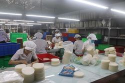 Công ty Cổ phần Thực phẩm Bích Chi tăng khả năng cạnh tranh từ tiết kiệm năng lượng
