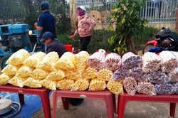 Mưu sinh với bánh ống nổ