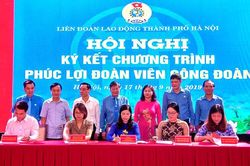 Nỗ lực phát triển đoàn viên, công đoàn cơ sở