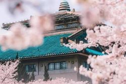 Vũ Hán gửi lời tri ân 'Cảm ơn vì có bạn' qua loạt ảnh du lịch