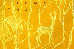Đáp án ô chữ con nai vàng ngơ ngác