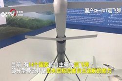 Quân đội Trung Quốc sắm máy bay không người lái tự sát