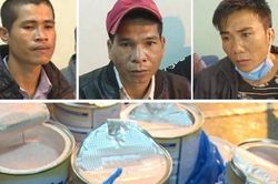 Vận chuyển 7 kg ma túy tổng hợp trong các thùng sữa