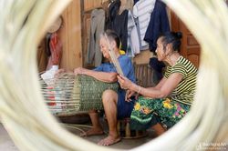 Xôn xao 'tre rừng' trong đời sống người dân rẻo cao Nghệ An