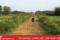 Hạ tầng giao thông xuống cấp 'cản bước' Hương Khê xây dựng nông thôn mới