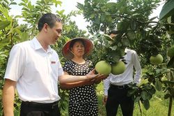 80% khách hàng không có nhu cầu vay vốn đầu tư sản xuất, kinh doanh