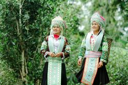 Độc đáo những làn điệu dân ca Mông