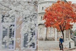 Bất chấp mùa dịch, Hà Nội vẫn đẹp nao lòng khi cây cối đua nhau khoe sắc