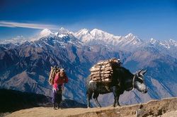 Gửi về từ Nepal
