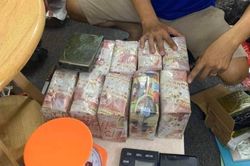 Thu thêm 200 kg 'hàng đá' trong vụ vận chuyển 250 kg ma túy