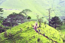 Ngừng trekking cung đường đẹp nhất Việt Nam