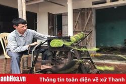Hiệu quả công tác giải quyết việc làm cho người mù