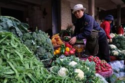 Tăng cường kết nối, không để nông sản thiếu hụt