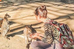 Check-in cùng kangaroo, lạc đà tại khu du lịch Đà Lạt