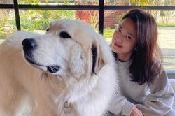 Ảnh đời thường của Song Hye Kyo sau khi trở về từ tâm dịch