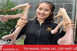 Cặp nhung hươu 'khủng' nhất huyện miền núi Hà Tĩnh, giá 34,6 triệu đồng