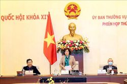 Quốc hội cho ý kiến về dự án Luật Đầu tư (sửa đổi) và Luật Doanh nghiệp (sửa đổi)