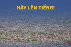 Mặt sân V-League chưa xứng với danh xưng chuyên nghiệp