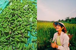 'Rợn người' với món khoái khẩu nhộng sâu muồng của hoa hậu H'Hen Niê