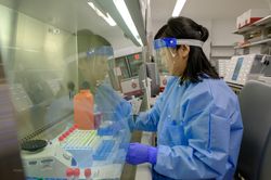 Tập đoàn sinh học Nhật Bản phát triển vắcxin chống COVID-19