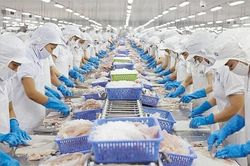 Quý I/2020: Xuất khẩu thủy sản sang Trung Quốc dự báo giảm ít nhất 20%