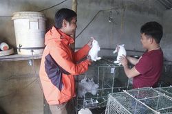 Đẩy mạnh phong trào khởi nghiệp trong thanh niên