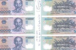 Truy tố băng nhóm sản xuất và lưu hành tiền giả