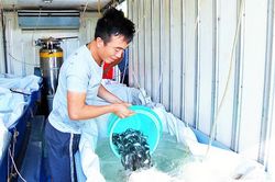 Trường Đại học Nha Trang: Nhiều Thành tựu trong nghiên cứu khoa học