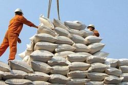 Thủ tướng chỉ đạo tạm dừng ký hợp đồng xuất khẩu gạo mới