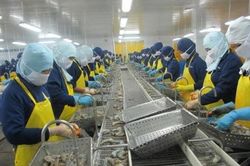 Doanh nghiệp thủy sản bị hủy 30% đơn hàng xuất khẩu