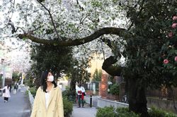 Bùng nổ số ca mắc COVID-19, Thị trưởng Tokyo kêu gọi người dân ở nhà