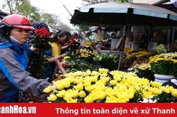 Tết Hàn thực, nét đẹp văn hóa của người Việt