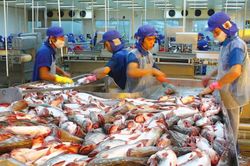 Nhiều doanh nghiệp Việt dính 'quả đắng' tại Mỹ