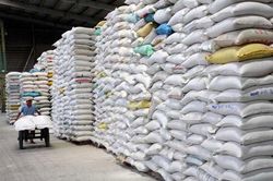 Lương thực dự trữ quốc gia luôn bảo đảm trong mọi tình huống