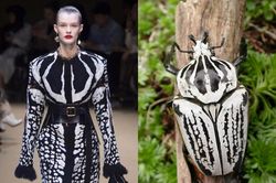 Thiên nhiên trở thành nguồn cảm hứng cho Balenciaga, Givenchy