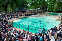 Đóng cửa vì COVID-19, sở thú London chật vật chăm sóc 18.000 động vật