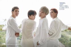 'Mỹ nam đẹp hơn hoa' Kim Jin Woo nhập ngũ, để lại 'đàn con thơ' WINNER
