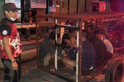 Người vi phạm lệnh phong tỏa ở Philippines bị nhốt vào chuồng chó