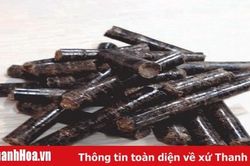 Biến phế phẩm nông – lâm nghiệp thành chất đốt dạng viên nén