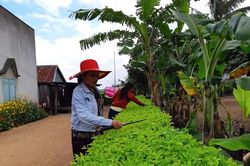 Điểm sáng phong trào phụ nữ