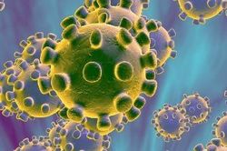 Nhà virus học Nga chỉ ra cơ chế xâm nhập 'đặc biệt' của Coronavirus