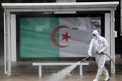 Đại sứ quán Việt Nam tại Algeria đề nghị công dân Việt Nam chấp hành nghiêm các quy định về phòng chống dịch
