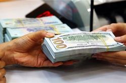 MBS: VND có thể mất giá khoảng 2% trong năm nay