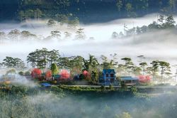 Hồ Minh và không gian huyền diệu trong thơ