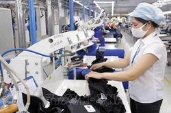 Hội đồng châu Âu thông qua thủ tục cuối cùng cho EVFTA