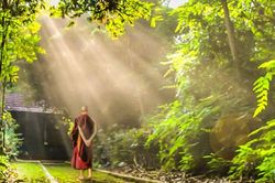 Phật dạy 8 chữ 'vàng' nên 'gối đầu giường' để tu dưỡng bản thân mỗi ngày