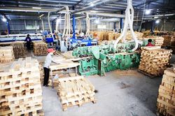 Kiến nghị đưa doanh nghiệp chế biến gỗ, lâm sản được gia hạn nộp thuế