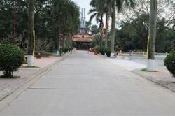 Hải Phòng dừng phục vụ người dân thăm viếng mộ dịp Thanh minh